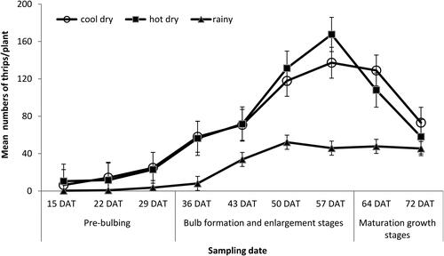 Figure 1. Mean number of thrips per plant in cool dry, hot dry and rainy season on unprotected plot in 2015/2016. Error bars show SEs.