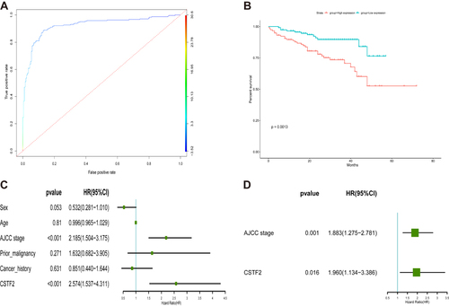 Figure 5 Diagnostic and prognostic values of CSTF2 in HCC based on the ICGC database. (A) The diagnostic capability of CSTF2 was validated in the ICGC cohort. (B) The relationship of CSTF2 expression and overall survival was validated in the ICGC cohort. (C and D) The independent risk factors were identified in the ICGC cohort by univariate (C) and multivariate (D) Cox regression analyses.