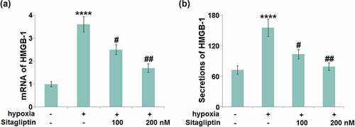 Figure 5. Sitagliptin ameliorated hypoxia-induced expression of HMGB-1 in human endometrial stromal cells (HESCs). Cells were stimulated with Sitagliptin (100, 200 nM) for 2 hours, followed by exposure to hypoxia for 6 hours. (a). mRNA of HMGB-1; (b). Secretions of HMGB-1 (****, P < 0.0001 vs. vehicle group; #, ##, P < 0.05, 0.01 vs. Sitagliptin group, n = 5).