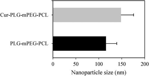 Figure 3. Average particle size of PLG-mPEG-PCL and Cur-PLG-mPEG-PCL.