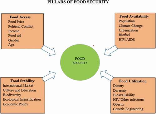 Figure 1. Factors of sustainable food security (source: own review, 2020)