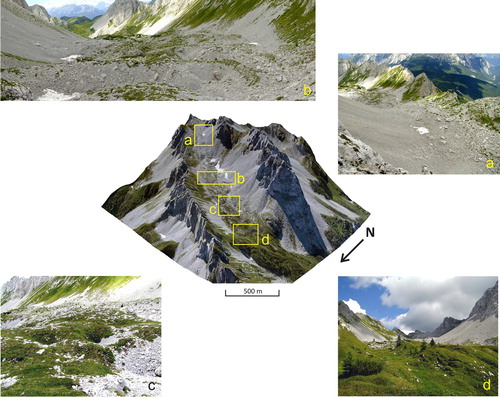 Figure 3. 3D image of Tiarfin rock glacier (n. 23 in the Main Map) realized by projecting the 2008 ortophoto on the 1 m cell size DTM. Details of different parts of this landform are highlighted in the Squares: (a) protalus ramparts located at the highest elevation of the rock glacier complex; (b) the central part where several ridges and furrows are clearly visible also from the field; (c) small dolines over the rock glacier surface likely due to thermokarst activity or suffosion; (d) the vegetated frontal part of the rock glacier with small Larix and Pinus mugo.