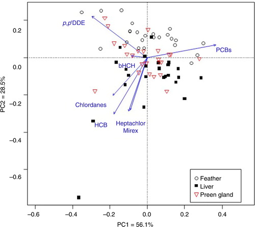Fig. 3  Indirect ordination analysis from a PCA presenting the POPs (β-HCH, HCB, heptachlor, Σchlordanes, p,p′-DDE and ΣPCBs) profile in kittiwake feathers, livers and preen glands. The arrows point in the direction of increasing mean contribution of POP load. Percent variability explained by the two first principal components (PC1 and PC2) is given.