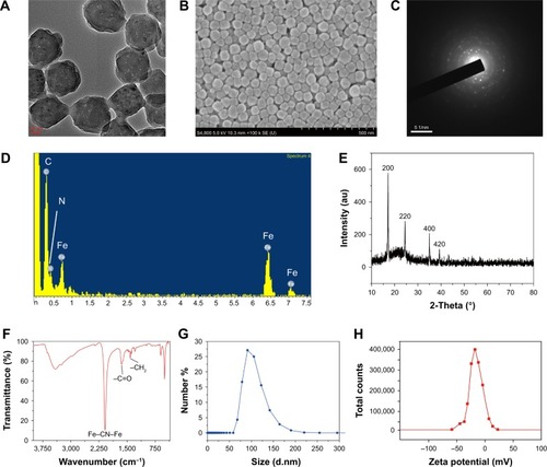 Figure 2 Charaterization of the OPBs.Notes: (A) TEM and (B) SEM images of OPBs. (C) SAED patterns of OPBs. (D) EDS of the nanoparticles. (E) XRD of the nanoparticles. (F) FT-IR of the nanoparticles. (G) Size distribution and (H) zeta potential of the nanoparticles.Abbreviations: OPBs, optimized Prussian blue nanoparticles; TEM, Transmission electron microscopy; SEM, scanning electron microscope; SAED, selected area electron diffraction; EDS, energy-dispersive X-ray spectroscopy; XRD, X-ray diffraction; FT-IR, Fourier transform infrared spectroscopy.