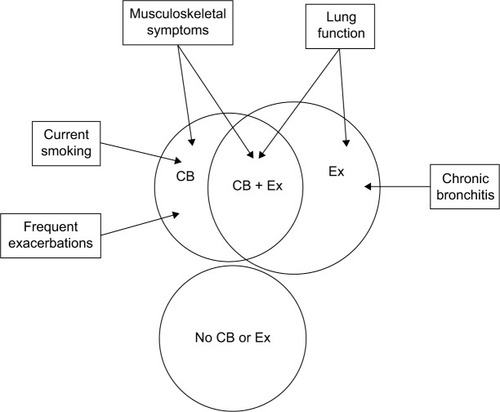 Figure 3 COPD phenotypes and patient characteristics.