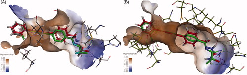 Figure 6. Overlay of 6e and LPC-009 binding to (A) P. aeruginosa LpxC and (B) E. coli LpxC.