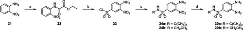 Scheme 1. (a) Ethyl chlorooxoacetate, Et2O, r.t. 18 h (98%); (b) ClSO3H, 80 °C, 3 h (77%); c) tert-butylamine or 2M THF solution of ethylamine, THF, 0 °C to r.t., 18 h (80%); (d) ammonium formate, Pd/C 10%, MeOH, reflux, 4 h (88–94%).