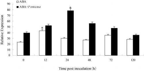 Figure 5. Expression profiles of the TaLr35PR5 gene in wheat leaves treated by ABA and pre-treated with ABA chemical inducers prior to P. triticina inoculation at different time points. The y-axis indicates the amounts of TaLr35PR5 transcript normalized to the GAPDH gene and express relative to that of susceptible cultivar treated with ABA. The x-axis indicates sampling times. Error bars represent variation among three biological replicates. **p < 0.01, *p < 0.05, n = 3.