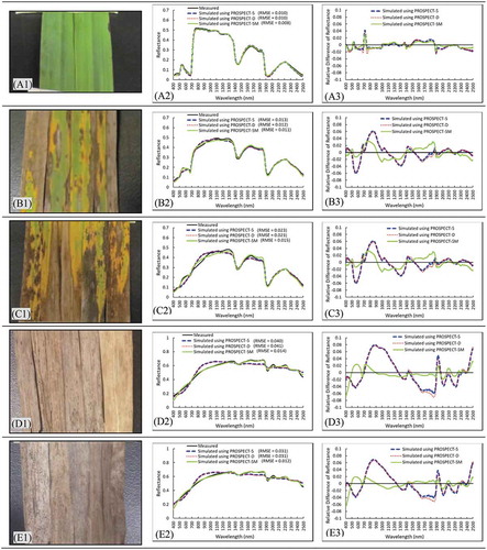 Figure 4. Simulation results of photosynthetic and non-photosynthetic leaves using PROSPECT-5, PROSPECT-D, and PROSPECT-5M (second column) and differences between simulated and measured spectra (third column)
