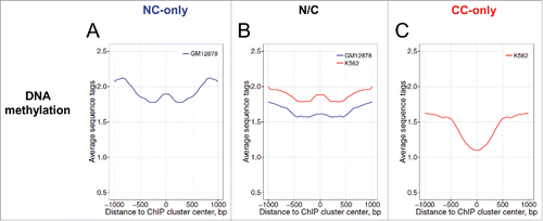 Figure 6. Profiles of DNA methylation around p53 ChIP cluster centers in the NC-only group (A), the N/C group (B) and the CC-only group (C). The MeDIP-seq data of the normal cell line GM12878 (blue) and the cancer cell line K562 (red) were used for this analysis. The MeDIP-seq data at genomic positions flanking the ChIP cluster centers were averaged and symmetrized across the centers (position 0). The differences between various groups at position 0 were evaluated statistically by Wilcoxon tests (Table S6).