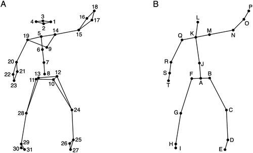 Figure 3. Marker and joint locations. (A) Anterior view of the marker locations as stick figure illustration; (B) Anterior view of the locations of joints used in the analysis.