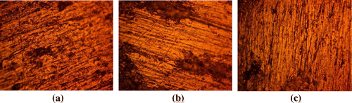 Figure 4. Morphology of 1070AL with 0% SiC content from 2 M H2SO4 at (a) 0% NaCl, (b) 0.5% NaCl and (c) 1% NaCl solution.