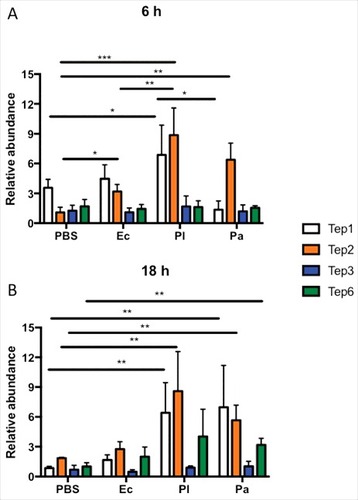 Figure 1. Tep1, Tep2 and Tep6 genes are upregulated in D. melanogaster flies by Photorhabdus infection. Transcript levels of Tep1, Tep2, Tep3 and Tep6 genes are shown in w1118 flies (n = 3–5) after (A) 6 and (B) 18 hpi with 1XPBS (septic injury control), E. coli (Ec), P. luminescens (Pl) and P. asymbiotica (Pa). Gene transcript levels are shown as relative abundance of transcripts normalized to RpL32 and expressed as a ratio compared with untreated flies (negative control). Significant differences are shown with asterisks (#p < 0.05, ##p < 0.01, ###p < 0.001). Bars show the means from 3 independent experiments and error bars represent standard deviation