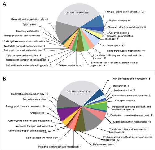 Figure 3. Genes identified in the genome comparison study clustered in functional categories based on KOG classification. (A) Absent genes and (B) discontiguous genes in NRRL3631 strain.