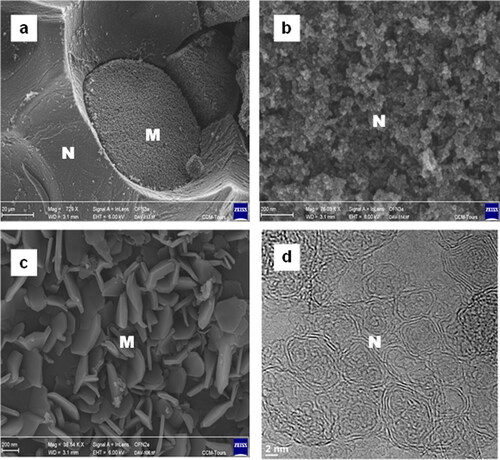 Figure 6. SEM images (a, b, c) of carbonization products of octafluoronaphthalene at 8.0 GPa, and 800°С (N – nanosized fraction, M – microsized fraction) and the TEM image (d) of nanosized onion-like carbon particles representing a metastable fraction of carbon formed in the process of thermal transformations of fluorocarbon compounds under moderate treatment temperatures. Reproduced with permission from ref [50], Copyright (2016) The American Chemical Society.