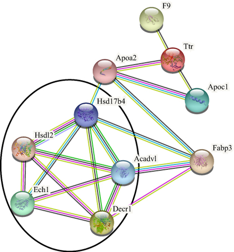 Figure 5 Protein-protein interaction network. Black circles represent key modules on this network.