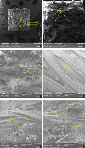 Figure 9. Fracture surface scanning microscopic images of tested samples with different magnifications.