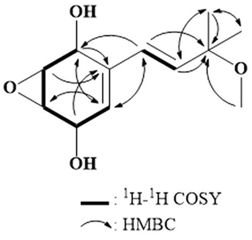 Figure 2. Two-dimensional NMR correlations of compound 1, isolated from the culture broth of Panus rudis.