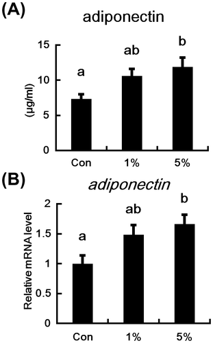 Fig. 2. Effects of HW-ECM on plasma concentrations and mRNA level of adiponectin in adipose tissues.Notes: (A) Plasma adiponectin protein levels were determined using an enzyme-linked immunosorbent assay (ELISA) and (B) mRNA expression in epididymal white adipose tissues was measured using real-time PCR and expressed relative to that of β-actin. Bars indicate the mean ± SE (n = 10). Bars without common letters represent significant differences (p < 0.05).