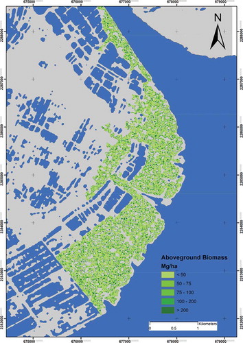 Figure 5. Spatial distribution pattern of biomass in the study area.