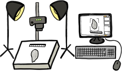 Figure 1. Cartoon of an example photography set-up, including a digital camera, a macro lens, a copy stand, photography lights, a spirit level, materials for holding the artefacts down, a small photography scale, and computer software for remote data capture.