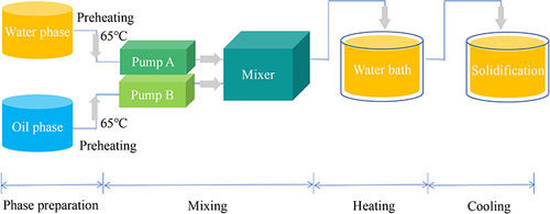 Figure 1 Flow chart of the preparation process of DTX-BSA-NPs through a microfluidic technology.