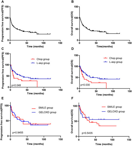 Figure 1 Kaplan-Meier survival curve of advanced stage ENKTL patients.