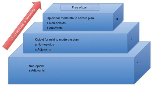 Figure 1 WHO ladder for cancer pain relief.