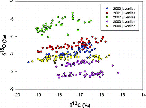 FIGURE 3 δ18O and δ13C signatures of otolith cores of juvenile American shad collected in the freshwater nursery regions of the York River during the summers of 2000–2004. The symbols represent individual fish. Data for 2000, 2001, 2002, and 2004 are from Walther and Thorrold (Citation2009).