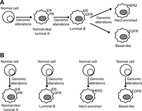 Figure 6 Two different models to explain the possible origin of the breast cancer subtypes (including luminal B). (A) “Linear evolution” model, whereby cancer cells or cancer precursor cells gradually evolve (by accumulation of genomic alterations) from a luminal A or normal-like subtype (with ER/PR expression), to a luminal B subtype (with loss of PR and possible gain of growth factor receptor, or GFR signaling), to either a HER2-enriched or Basal-like subtype (with complete loss of ER signaling and increase of GFR signaling). (B) “Distinct pathways of progression” model, whereby each breast cancer subtype follows a path of initiation and progression that is independent of that of the other subtypes.