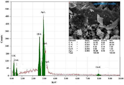 Figure 5 SEM micrograph of AgNPs synthesized using okra flower extract (right top corner) and energy dispersive X-ray spectrum of AME-AgNPs (bottom).