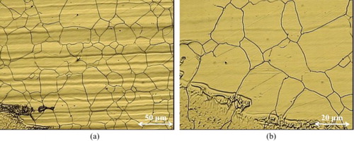 Figure 4. Optical micrograph of HAZ microstructure of Incoloy 825 in two different magnifications: (a) 50 µm and (b) 20 µm.