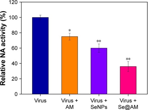 Figure 6 Inhibition of NA activity by Se@AM in H1N1 infection of cells.Notes: The NA inhibition assay was performed using a microplate reader. Bars with different characters are statistically different at *p<0.05 or **p<0.01 level.Abbreviations: AM, amantadine; NA, neuraminidase; Se@AM, AM-modified SeNPs; SeNPs, selenium nanoparticles.