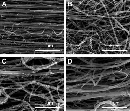 Figure 1 SEM images of N-MWCNTs (A and B) and MWCNTs (C and D): pristine (A and C) and after acid treatment (B and D).Notes: The N-MWCNTs well aligned with large amounts of iron carbide nanoparticles adhered on their surface (A). After acid treatment, the N-MWCNTs present almost no metallic nanoparticles attached to their outer carbon layer (B and D). The case of MWCNTs is different; few iron carbide nanoparticles are present adhered to their external surface (A and C). The acid treatment of MWCNTs induced serious disruption in their morphology (B and D).Abbreviations: N-MWCNTs, nitrogen-doped MWCNTs; MWCNTs, multiwalled carbon nanotubes.