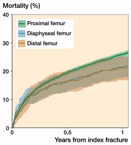 Figure 2. Unadjusted cumulative mortality up to 1 year after index fracture per femoral segment with 95% confidence intervals.