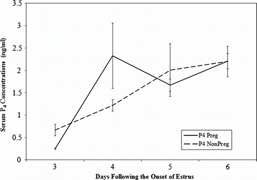 Figure 1.  Plasma progesterone (P4) concentrations in pregnant (n=9) and non-pregnant RPB cows (n=11) administered 15 mg of P4 on days 3, 4 and 5 after the onset of estrus.