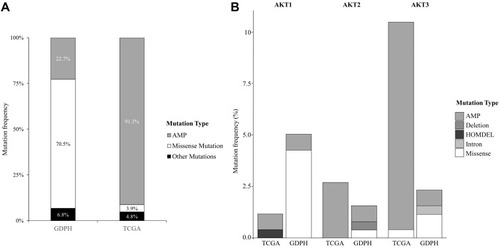 Figure 2 The frequency of different mutation types of (A) AKT, (B) AKT1, AKT2, and AKT3 in the two cohorts.