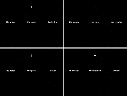 Figure 2. Screenshots illustrating the different conditions of the sentence transformation task.