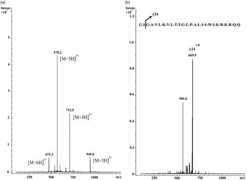 Figure 6. (a) Full scan mass spectrum of MEL and (b) product ion spectrum of the mass-selected [M + 5H]5+ ion of m/z 570.2.