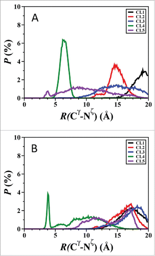 Figure 9. The calculated probability distribution of the distance between the Cγ atom of the Asp23 residue and the Nζ atom of the Lys28 residues for the Aβ42 using AMBER FF99SB and CHARMM22/CMAP parameters in an implicit water environment. Simulations were conducted using AMBER FF99SB (A) and CHARMM22/CMAP parameters (B).