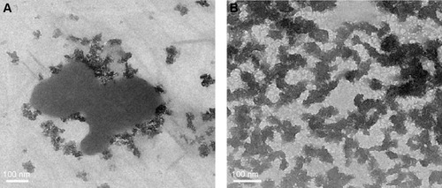 Figure 5 TEM images of Vitamin B12 before and after sonication.Notes: (A) TEM image of Vitamin B12 bulk form. (B) TEM image of Vitamin B12 NPs upon 5-minute ultrasonic radiation.Abbreviations: TEM, transmission electron microscopy; NPs, nanoparticles.