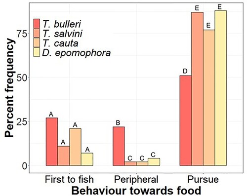 Figure 5. Behaviours of focal species towards fish. Percent frequency of behaviours towards fish of focal albatross species. Albatross species are presented as in Figure 2. Sample sizes are given in Table 1. Distinct letters above bars denote evidence of differences in behaviours among species; species that share a letter do not show evidence of differing in their frequency of a behaviour within a behavioural category.