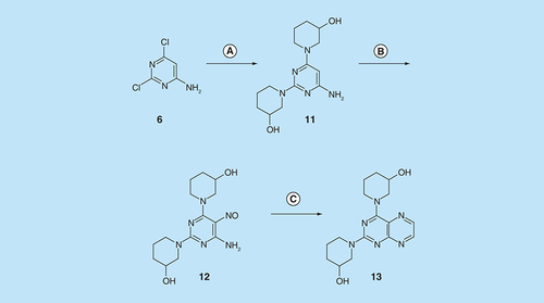 Figure 4.  Synthesis of pteridine 13.Reagents and conditions: (A) 3-hydroxypiperazine, reflux 5 h; (B) NaNO2 aqueous acetic acid 0°C, 3 h; (C) sodium dithionite then aqueous 40% glyoxal, reflux 6 h.