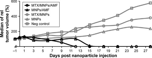 Figure 6 Fastest reduction of tumor growth after nanochemothermal treatment.Notes: Tumor volumes (n≥2) of each animal were normalized to the tumor volume at the day of nanoparticle injection (−1 d; 1 µgFe/mm³Tumor) and depicted as the median of relative tumor volumes. The median CEM43T90 was slightly lower for the nanochemothermal group (122 min) than for the thermal group (155 min). AMF: H =23.9 kA/m, f =410 kHz.Abbreviations: AMF, alternating magnetic field; MNPs, magnetic nanoparticles; MTX, methotrexate.