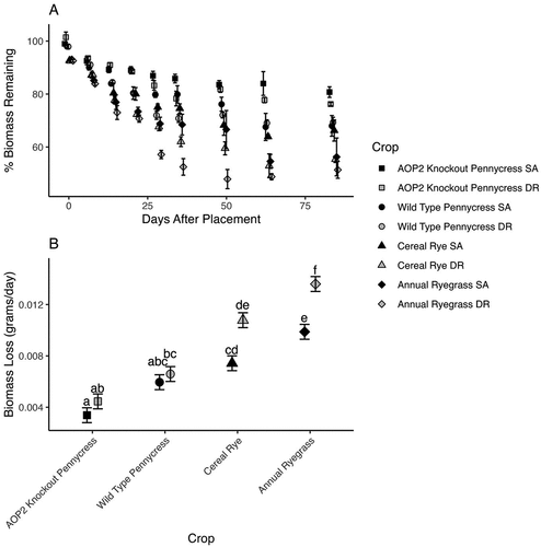 Figure 1. A. Percent of total biomass remaining over the 84-day study period with best-fit regression line to demonstrate biomass loss. B. Estimated marginal means of biomass (k) by species and soil type for the whole study period. SA refers to Saybrook soils while DR refers to Drummer and Elpaso soils. Letters indicate significant differences at an alpha of 0.05.