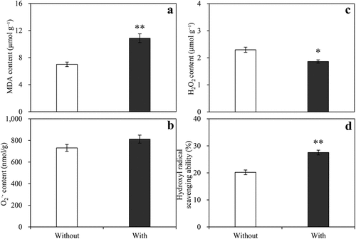 Figure 7. Effects of A. baimaensis VOCs on contents of MDA (a), O2·- (b), H2O2 (c), and hydroxyl radical scavenging ability (d) of E. nutans. ** indicant significant difference than CK (P ≤ .01), * indicant significant difference than CK (P ≤ .05), and vertical bars indicate ± SE of mean.