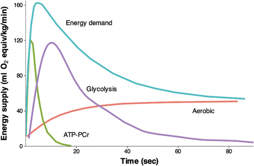 Figure 2. The relative contribution of the three energy systems to the total energy supply during 90 seconds of all-out cycle exercise. Adapted from gastin 2001 [Citation23].