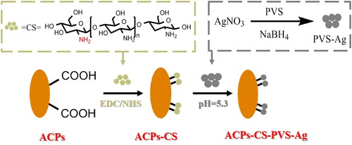 Figure 1. Construction of the functionalized bio-carbon material.