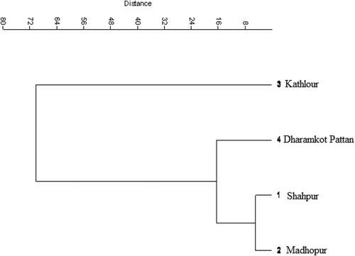 Figure 1. Cluster analysis of physiochemical properties of soil from catchment areas of river Ravi.