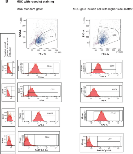 Figure S3 Flow-cytometry analysis of hMSC: side scatter, forward scatter, CD90 positivity, CD73 positivity, CD105 positivity, and CD34 negativity.Notes: (A) MSC without nanoparticle staining and MSC with SAMN staining. MSC standard gate: MSC gate includes cell with higher side scatter: Part of the cells displays higher side scatter than cells without SAMN labeling. It is the sign of higher granularity. (B) MSC with Resovist staining. MSC standard gate: MSC gate includes cell with higher side scatter.Abbreviations: SAMN, surface-active maghemite nanoparticle; MSC, mesenchymal stromal cell; h, human; SSC-A, side scatter; FSC-A, forward scatter; FITC-A, relative intensity of fluorescein fluorescence; PE-A, relative intensity of phycoerythrin fluorescence; APC-A, relative intensity of allophycocyanin fluorescence; PerCP-Cy5-5-A, relative intensity of peridinin chlorophyll protein – Cy5 conjugate fluorescence.